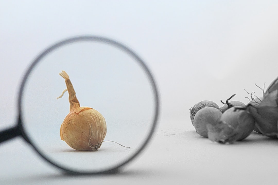 Die Zukunft der Computer Vision